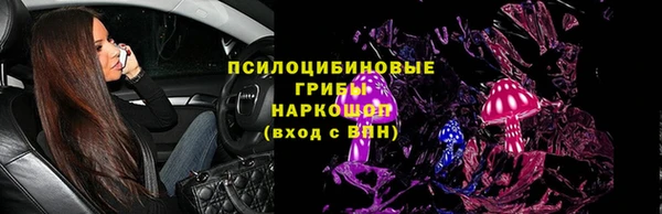 мдпв Верея