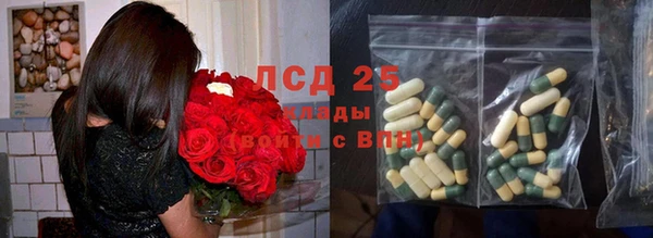 мдпв Верея