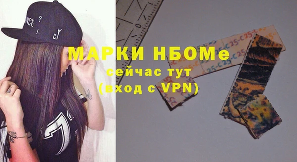 мдпв Верея