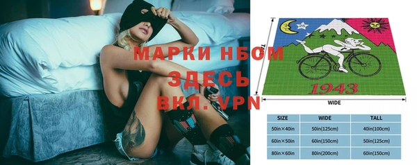 мдпв Верея