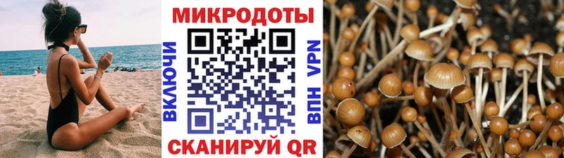 Галлюциногенные грибы ЛСД  наркотики  Чудово 