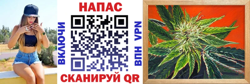 Канабис сатива  ОМГ ОМГ ссылка  Чудово 